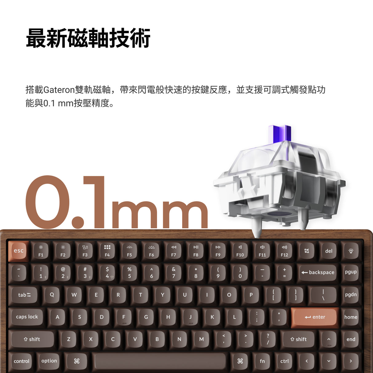 Keychron K2 HE 無線磁軸鍵盤 全木特仕板(英文版本)