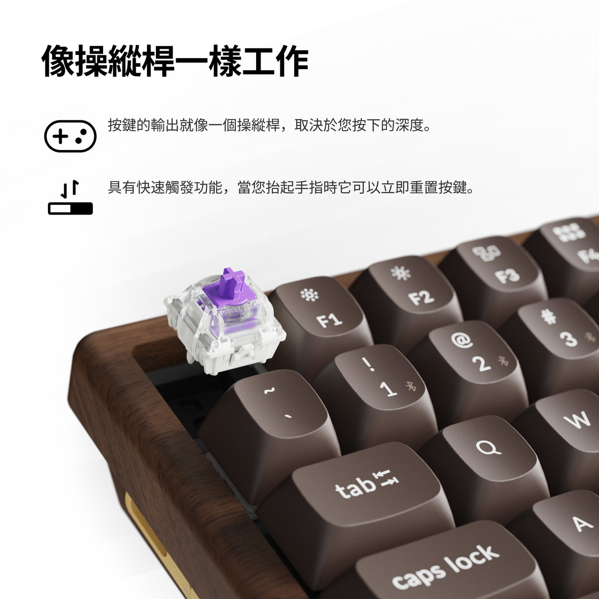 Keychron K2 HE 無線磁軸鍵盤 全木特仕板(英文版本)