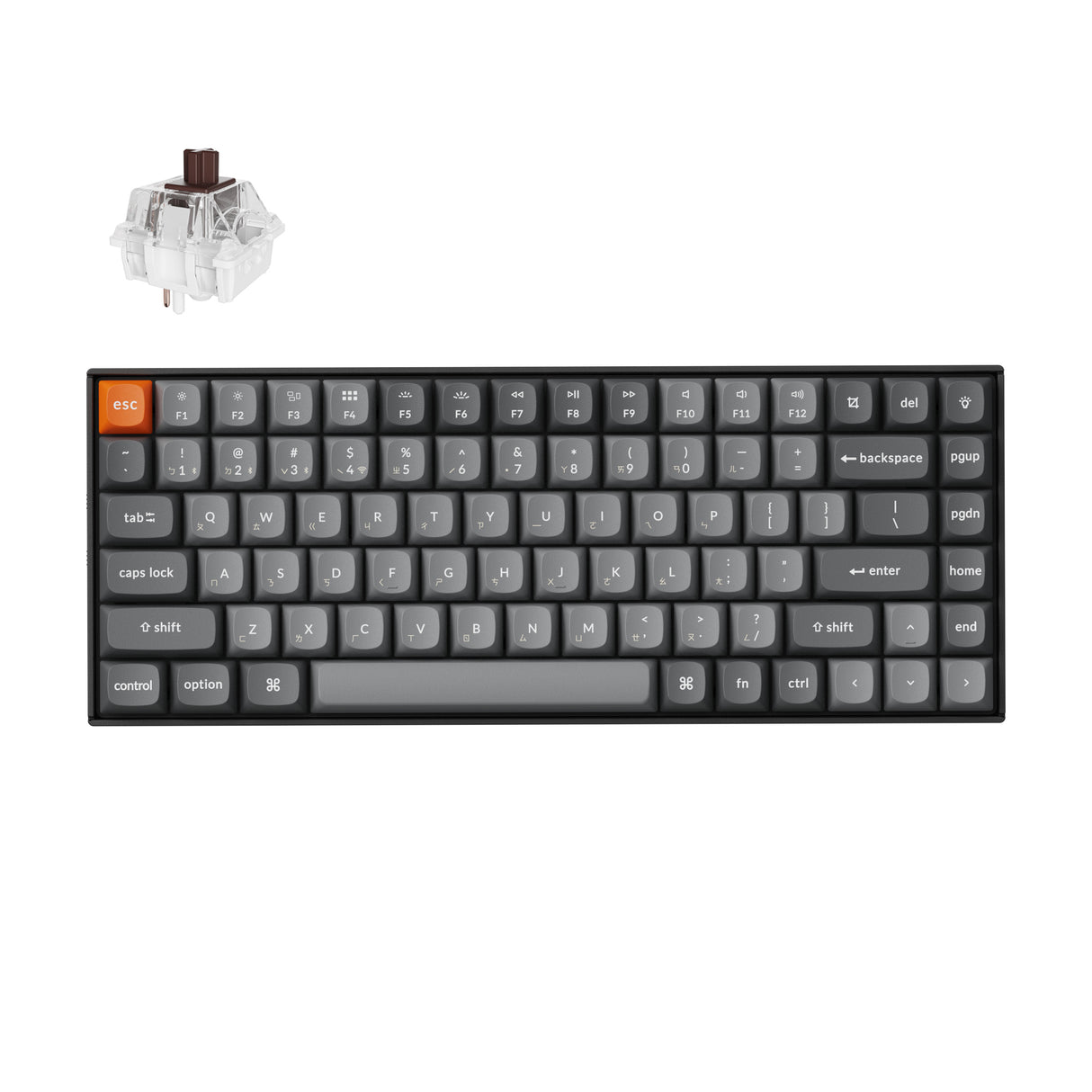 Keychron K2 Max QMK 無線機械式鍵盤(注音版本)