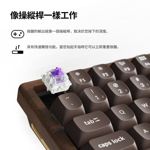 Keychron K2 HE 無線磁軸鍵盤 全木特仕板(英文版本)