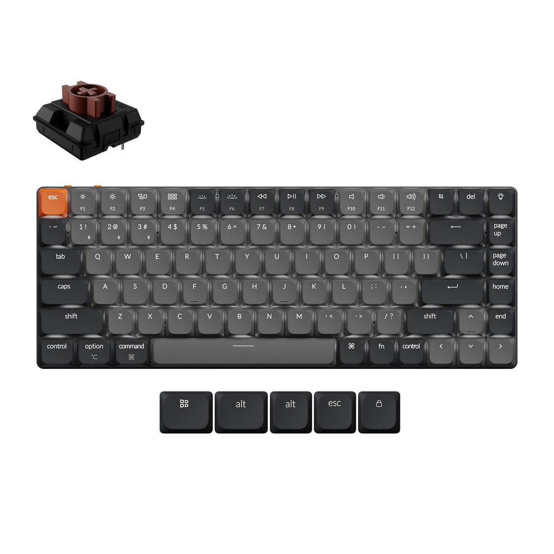 Keychron K3 QMK 矮軸 無線機械鍵盤 第三代(英文版本-送注音轉印貼紙) – Keychron Taiwan